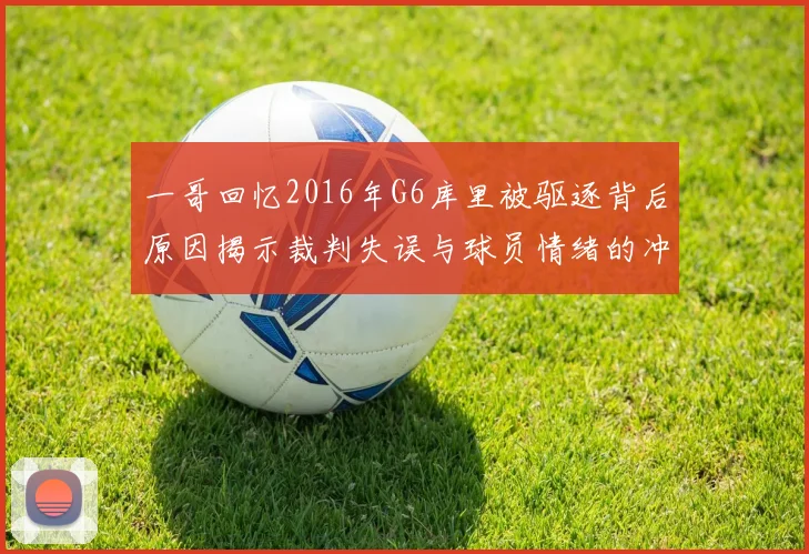 一哥回忆2016年G6库里被驱逐背后原因揭示裁判失误与球员情绪的冲突