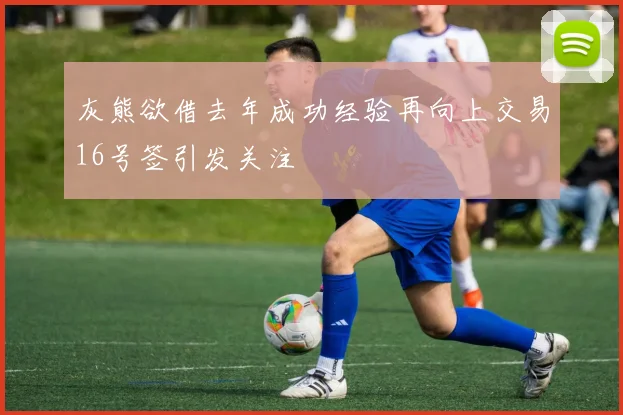 灰熊欲借去年成功经验再向上交易16号签引发关注